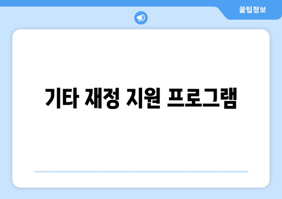 기타 재정 지원 프로그램