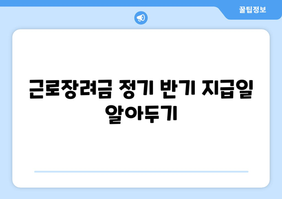 근로장려금 정기 반기 지급일 알아두기