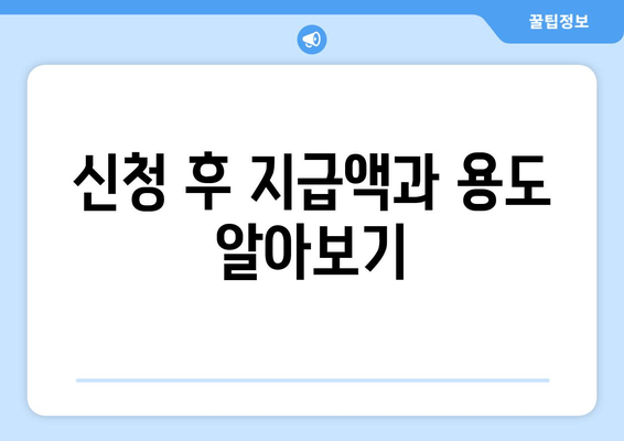 신청 후 지급액과 용도 알아보기