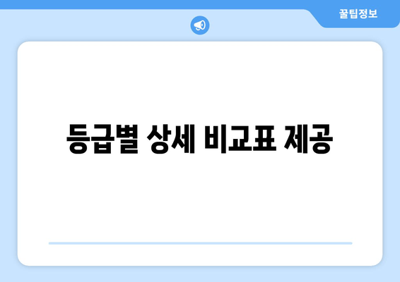 등급별 상세 비교표 제공