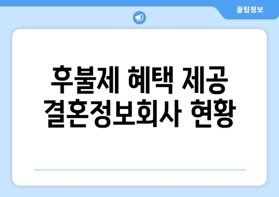 후불제 혜택 제공 결혼정보회사 현황