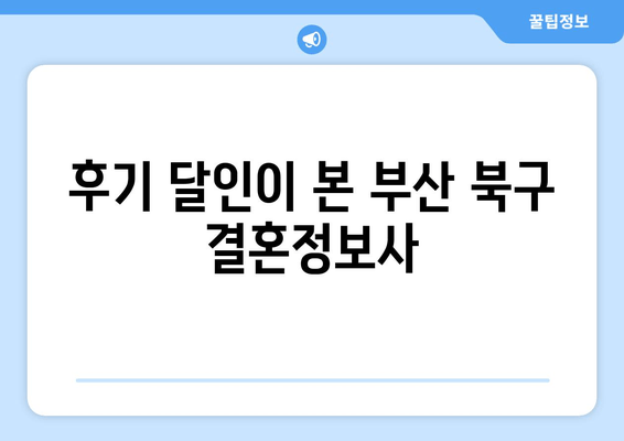 후기 달인이 본 부산 북구 결혼정보사