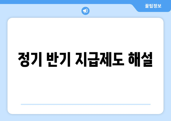 정기 반기 지급제도 해설