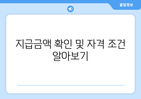 지급금액 확인 및 자격 조건 알아보기