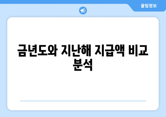 금년도와 지난해 지급액 비교 분석