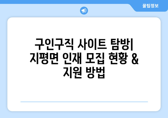 구인구직 사이트 탐방| 지평면 인재 모집 현황 & 지원 방법