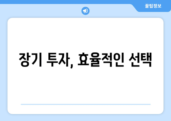 장기 투자, 효율적인 선택