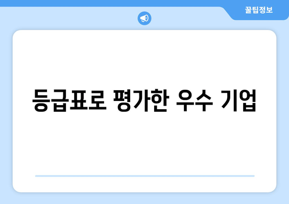 등급표로 평가한 우수 기업