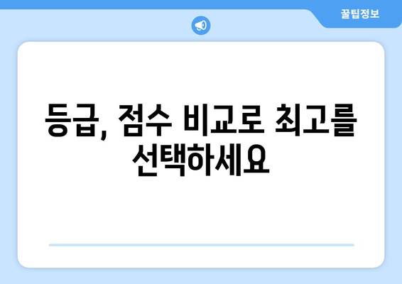 등급, 점수 비교로 최고를 선택하세요