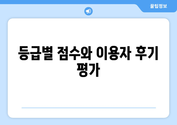 등급별 점수와 이용자 후기 평가