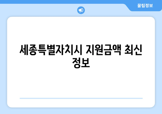 세종특별자치시 지원금액 최신 정보