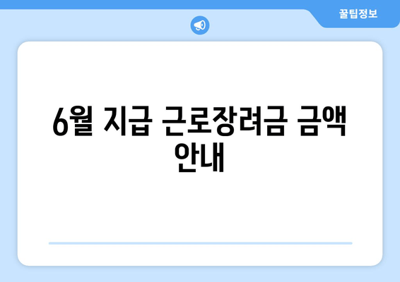 6월 지급 근로장려금 금액 안내