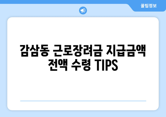 감삼동 근로장려금 지급금액 전액 수령 TIPS