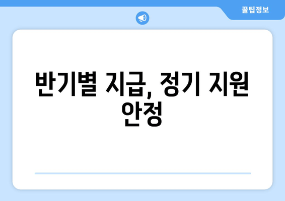 반기별 지급, 정기 지원 안정