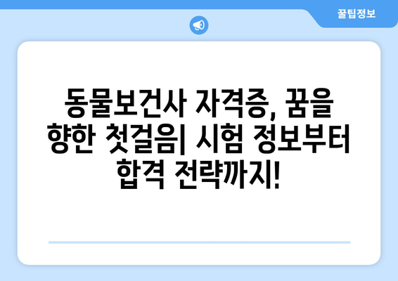 동물보건사 꿈나무를 위한 완벽 가이드| 근무 환경부터 자격증 취득까지 | 동물병원, 동물보건, 진로,  취업