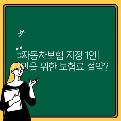 자동차보험 지정 1인 보험료| 의미와 회사별 견적 비교 가이드 | 자동차보험, 보험료 계산, 견적 비교, 보험료 할인