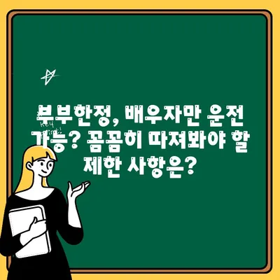 자동차보험 부부한정 vs 기명 1인 지정| 나에게 맞는 선택은? | 보험료 비교, 장단점 분석, 추천 가이드