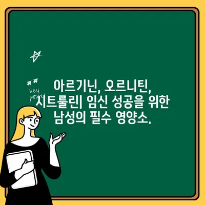 남편 임신 준비, 아르기닌, 오르니틴, 시트룰린 영양제로 건강하게! | 남성 불임, 정자 건강, 임신 성공률