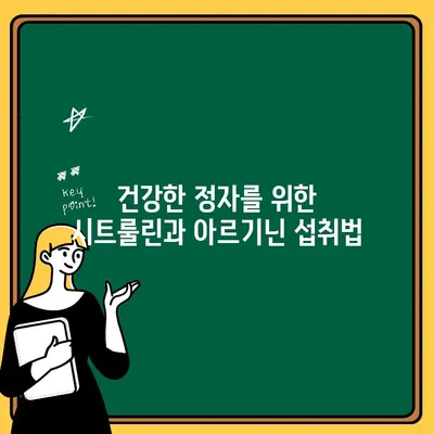 남성 임신 준비, 시트룰린과 아르기닌이 어떻게 도울까요? | 남성 불임, 정자 건강, 임신 성공률