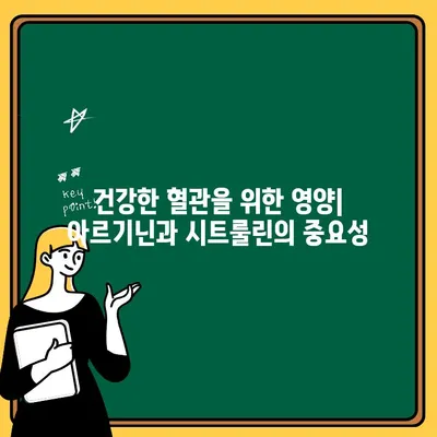 아르기닌과 시트룰린| 혈압 조절과 혈류 개선을 위한 핵심 역할 | 건강, 혈관 건강, 운동, 영양