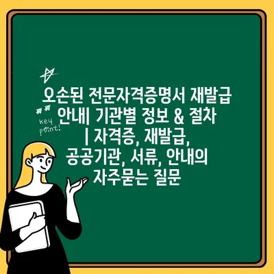 오손된 전문자격증명서 재발급 안내| 기관별 정보 & 절차 | 자격증, 재발급, 공공기관, 서류, 안내