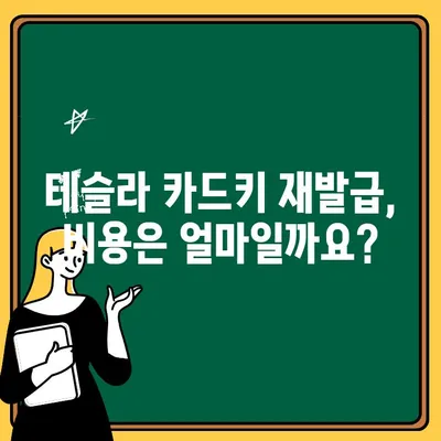 테슬라 모델3 하이랜드 카드키 분실했을 때? 재발급 비용 & 절차 총정리 | 테슬라, 카드키, 분실, 재발급, 비용, 절차