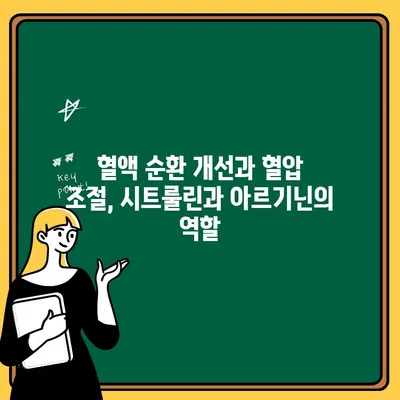 시트룰린과 아르기닌| 효능과 부작용, 함께 알아보기 | 운동, 건강, 영양