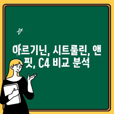 운동 전 부스터 효과 비교| 아르기닌, 시트룰린, 앤 핏, C4 | 운동 성능 향상, 근력 강화, 지구력 증진