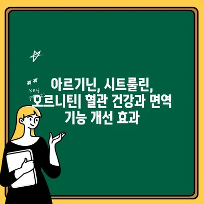 아르기닌, 시트룰린, 오르니틴| 건강 효능과 주의해야 할 부작용 완벽 정리 | 아미노산, 건강 보조제, 운동