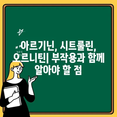 아르기닌, 시트룰린, 오르니틴| 건강 효능과 주의해야 할 부작용 완벽 정리 | 아미노산, 건강 보조제, 운동