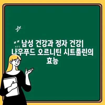 임신 준비 남성을 위한 아르기닌 영양제| 나우푸드 오르니틴 시트룰린 효과와 복용 가이드 | 임신 준비, 남성 건강, 정자 건강, 아르기닌, 오르니틴, 시트룰린, 나우푸드