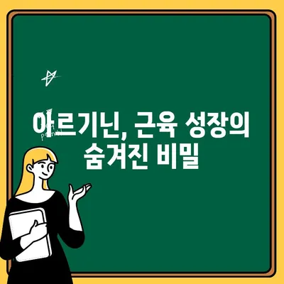 아르기닌 효능| 활력과 성능 향상 위한 비교 분석 | 근육 성장, 면역력 강화, 체력 증진, 남성 건강