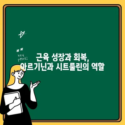 아르기닌과 시트룰린 최적 섭취 가이드| 섭취량, 시기, 효능 총정리 | 운동, 건강, 영양