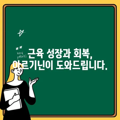 아르기닌 효능과 추천 제품 비교| 건강 증진을 위한 최고의 선택 | 아르기닌, 건강, 보충제, 비교분석, 추천