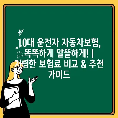 10대 운전자 자동차보험, 똑똑하게 알뜰하게! | 저렴한 보험료 비교 & 추천 가이드