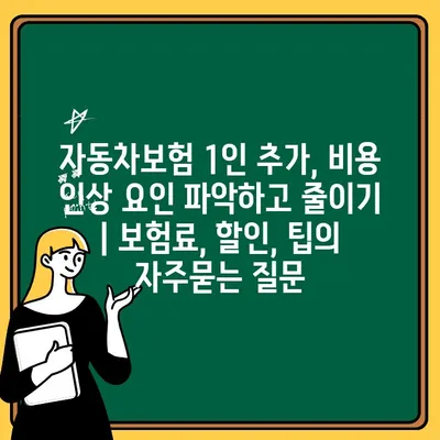 자동차보험 1인 추가, 비용 인상 요인 파악하고 줄이기 | 보험료, 할인, 팁