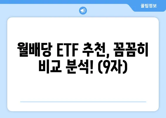 월배당 ETF 추천, 꼼꼼히 비교 분석! (9자)