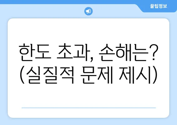 한도 초과, 손해는? (실질적 문제 제시)