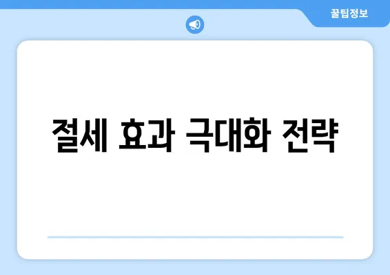 절세 효과 극대화 전략