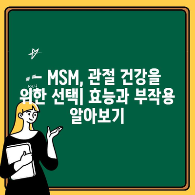 MSM 추천 TOP 11+ 브랜드 비교| 효능, 부작용, 순위까지 한번에! | MSM, 관절 건강, 쇼핑 가이드