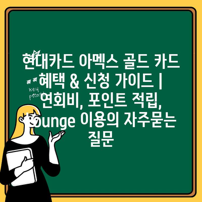 현대카드 아멕스 골드 카드 혜택 & 신청 가이드 | 연회비, 포인트 적립, Lounge 이용