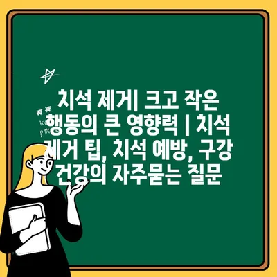 치석 제거| 크고 작은 행동의 큰 영향력 | 치석 제거 팁, 치석 예방, 구강 건강