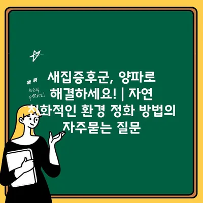 새집증후군, 양파로 해결하세요! | 자연 친화적인 환경 정화 방법