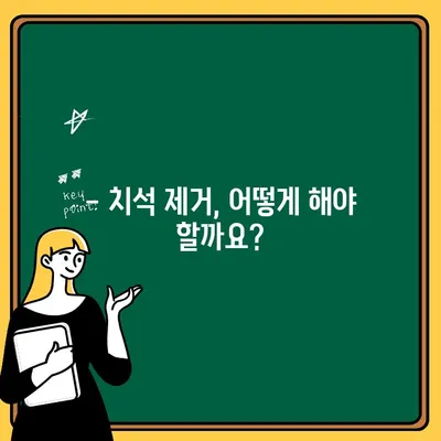 치석 제거| 예방보다 치료가 낫습니다? | 치석 제거 방법, 치석 제거 비용, 치석 예방 팁