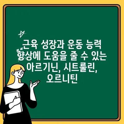 아르기닌, 시트룰린, 오르니틴| 효능과 부작용 완벽 가이드 | 운동, 건강, 영양