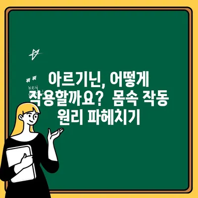 아르기닌 효능, 작용 기전, 그리고 제품 비교| 건강 증진을 위한 선택 가이드 | 아르기닌, 건강 보조제, 혈관 건강, 면역력, 근육 성장