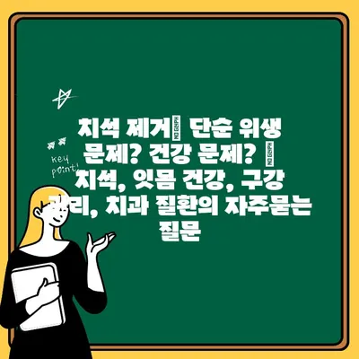 치석 제거| 단순 위생 문제? 건강 문제? | 치석, 잇몸 건강, 구강 관리, 치과 질환