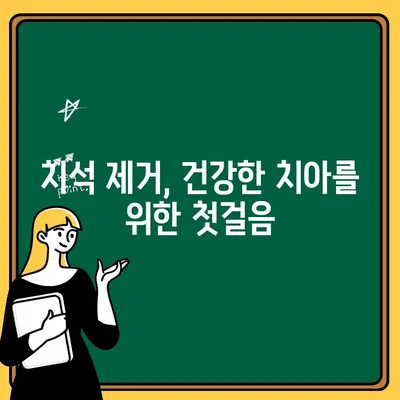 치석과 치주질환| 당신의 치아 건강을 위협하는 주범 | 치석 제거, 치주염 예방, 치아 관리 팁