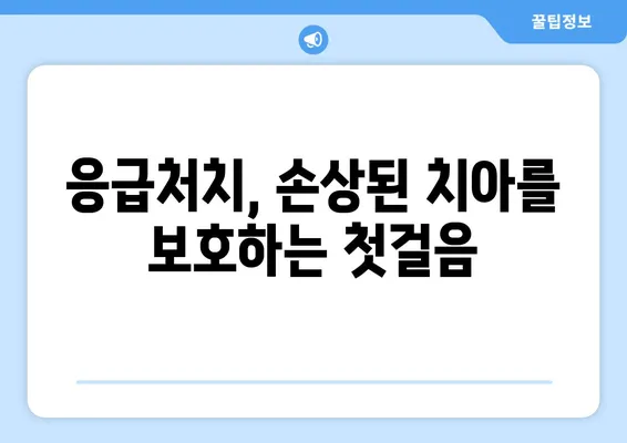 광교 치과| 치아 손상, 어떻게 대처해야 할까요? | 치아 손상, 응급처치, 치과 진료, 광교 치과 추천