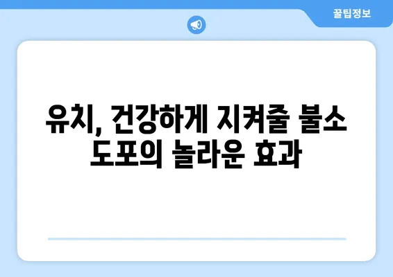 대구 어린이 치과에서 알려주는 유치 관리의 핵심! 불소 도포의 중요성과 효과적인 관리법 | 유치, 불소, 치아 관리, 어린이 치과, 대구